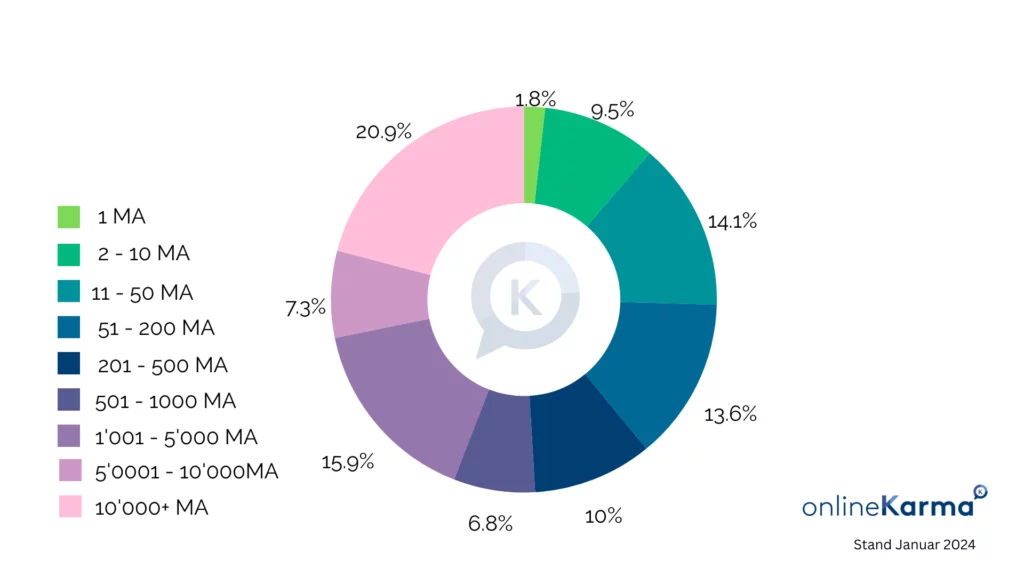Répartition des utilisateurs et utilisatrices de LinkedIn en Suisse en fonction du nombre de salariés de leur employeur, en janvier 2024