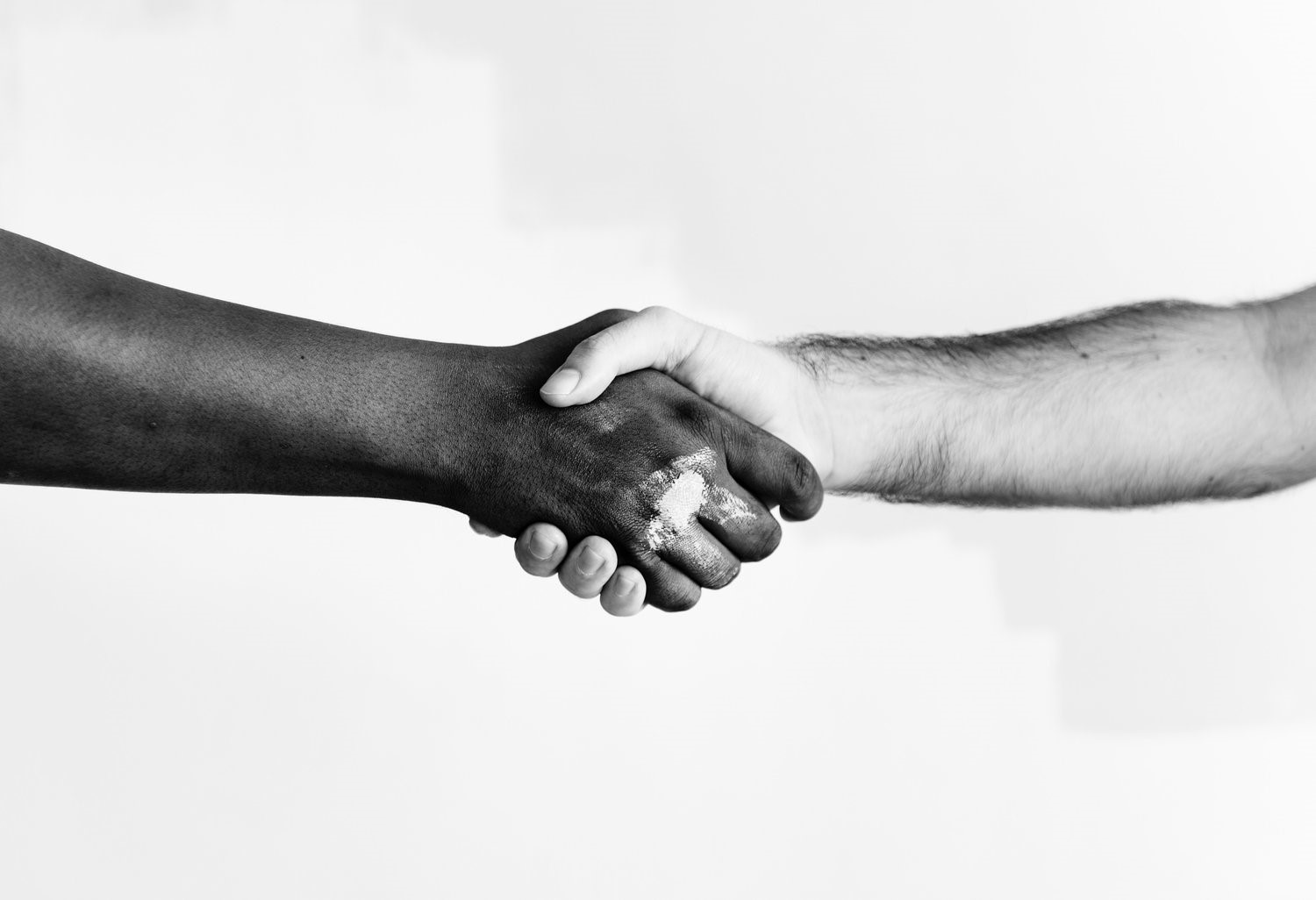 Two people of different skin colors shake hands.
