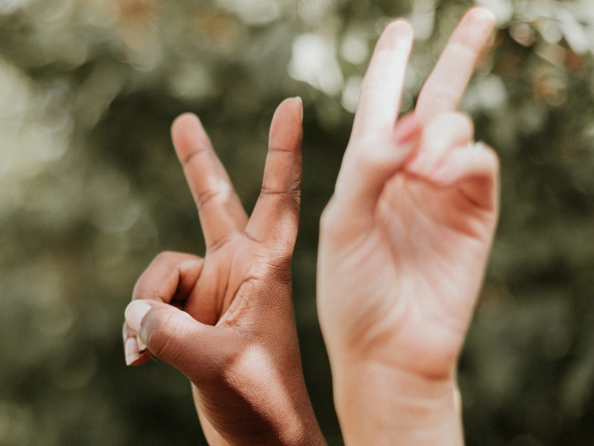 Deux mains formant le signe de la paix