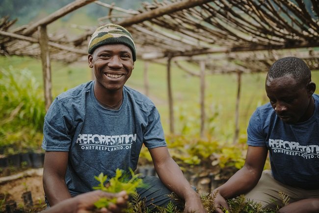 One Tree Planted employees working with seedlings